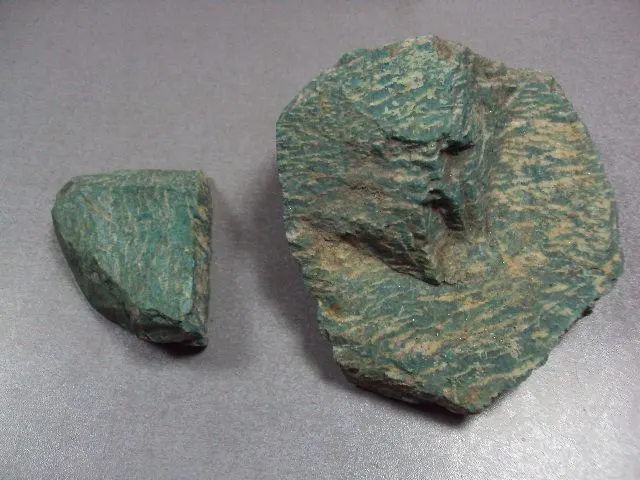 Fossils, Geology, Flora and Fauna Specimens. Meteorites. Aquaristics